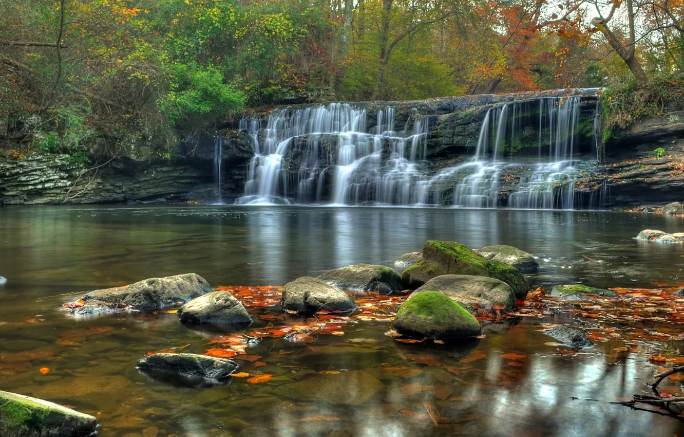 Photo wallpaper forest, trees, river, stones, waterfall