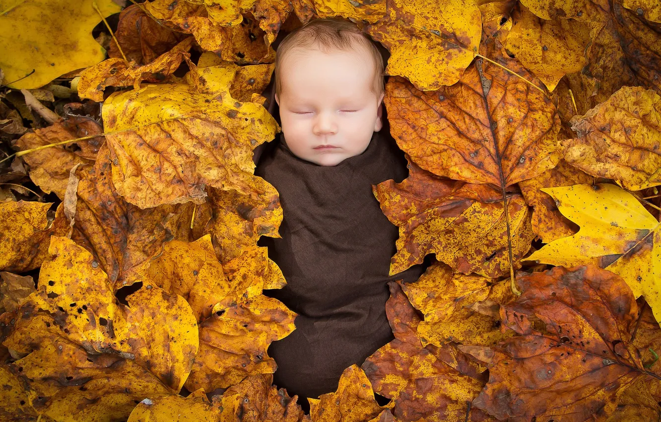 Photo wallpaper autumn, leaves, children, foliage, baby