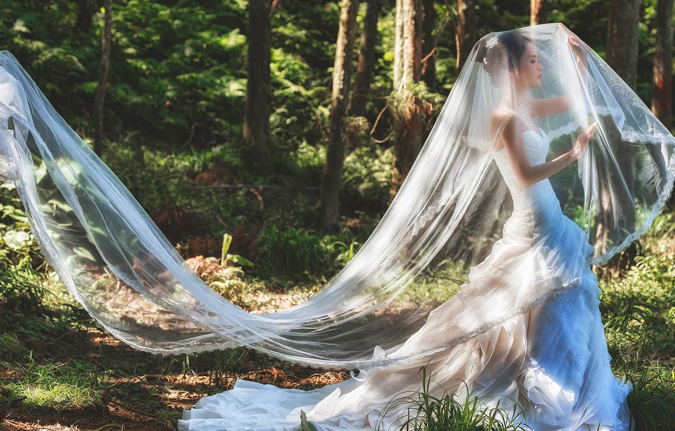Photo wallpaper forest, girl, dress, Asian, forest, the bride, veil, dress