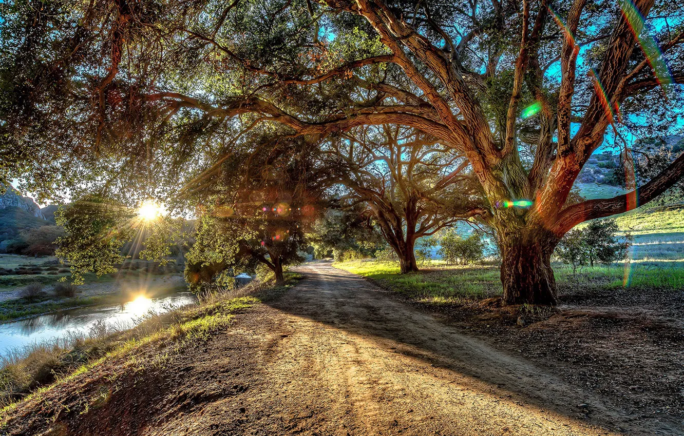 Photo wallpaper road, the sun, rays, trees, mountains, branches, stream, foliage
