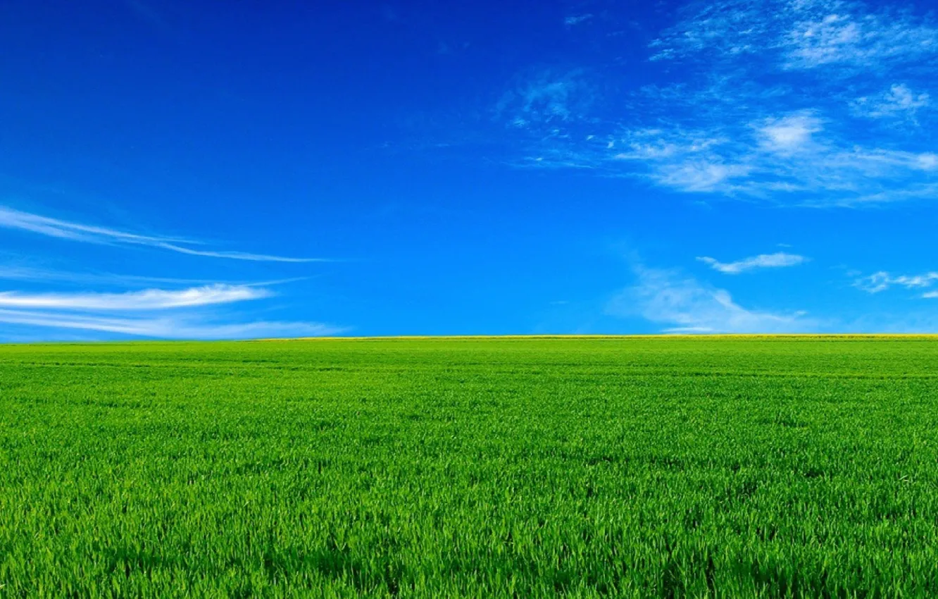 Photo wallpaper field, the sky, landscape, horizon