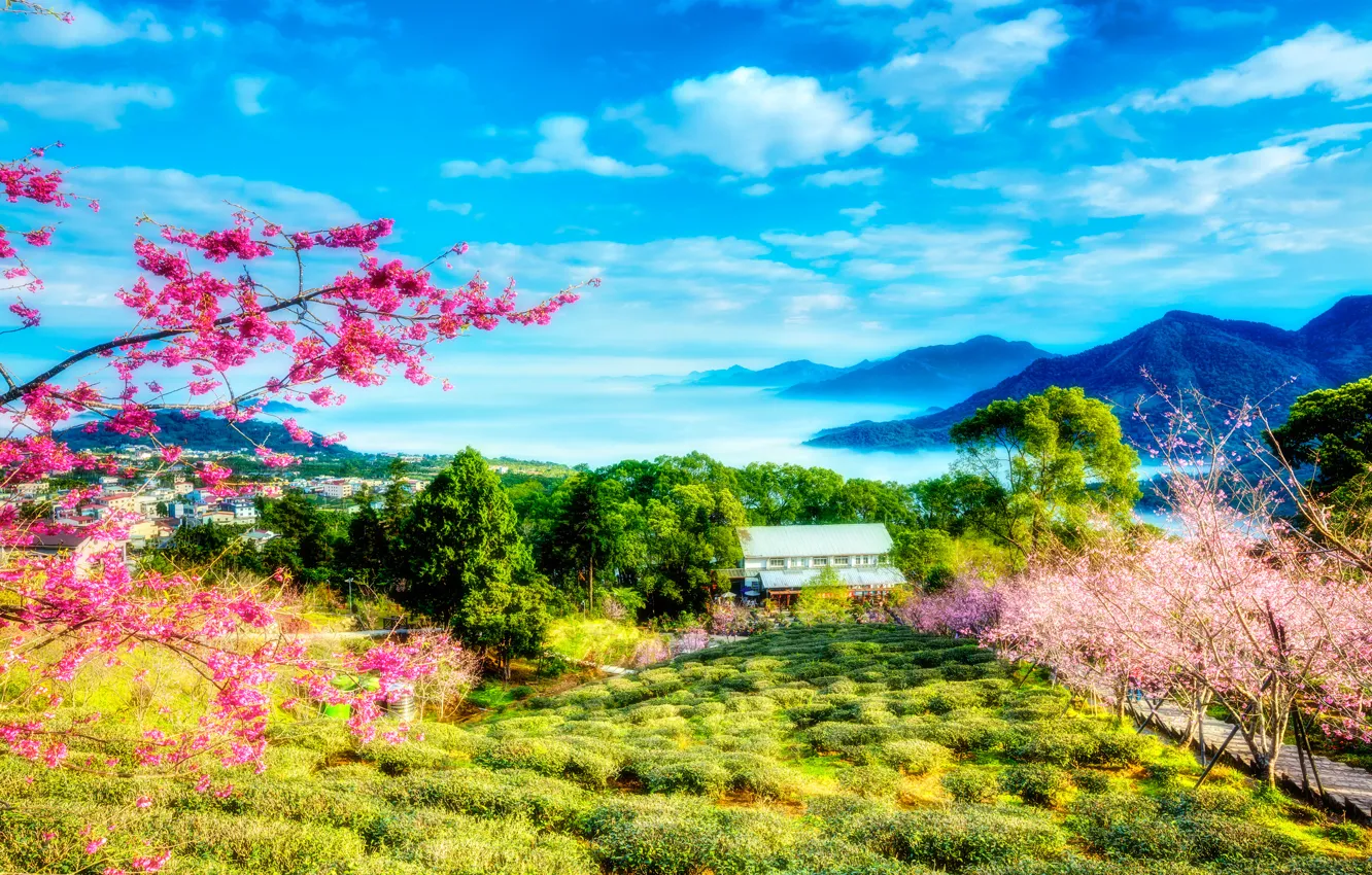 Photo wallpaper greens, the sky, clouds, trees, landscape, flowers, mountains, spring