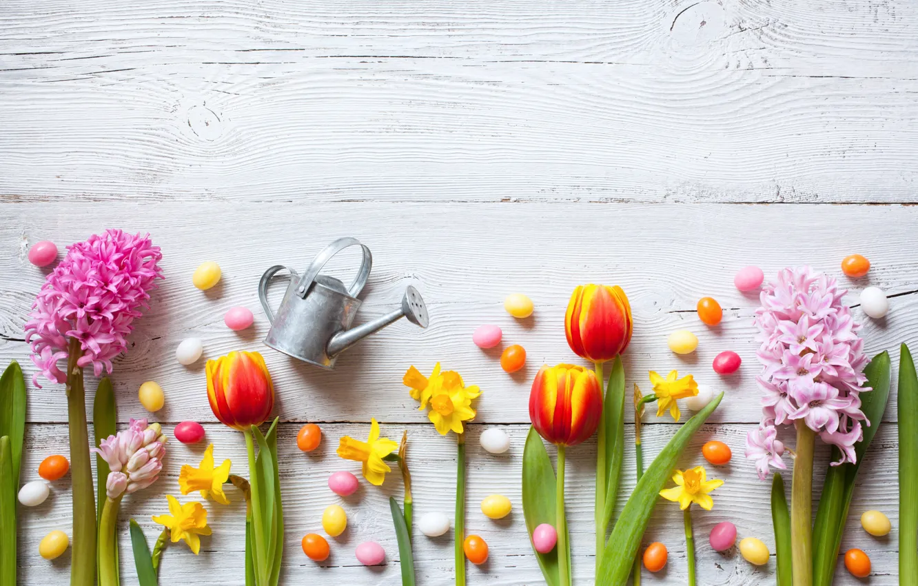Photo wallpaper flowers, spring, colorful, Easter, crocuses, tulips, wood, flowers