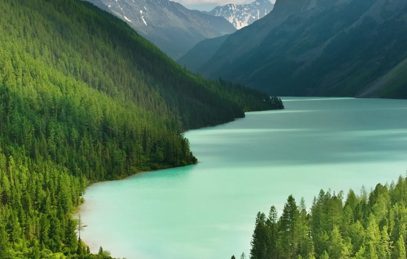 Photo wallpaper trees, mountains, lake, taiga
