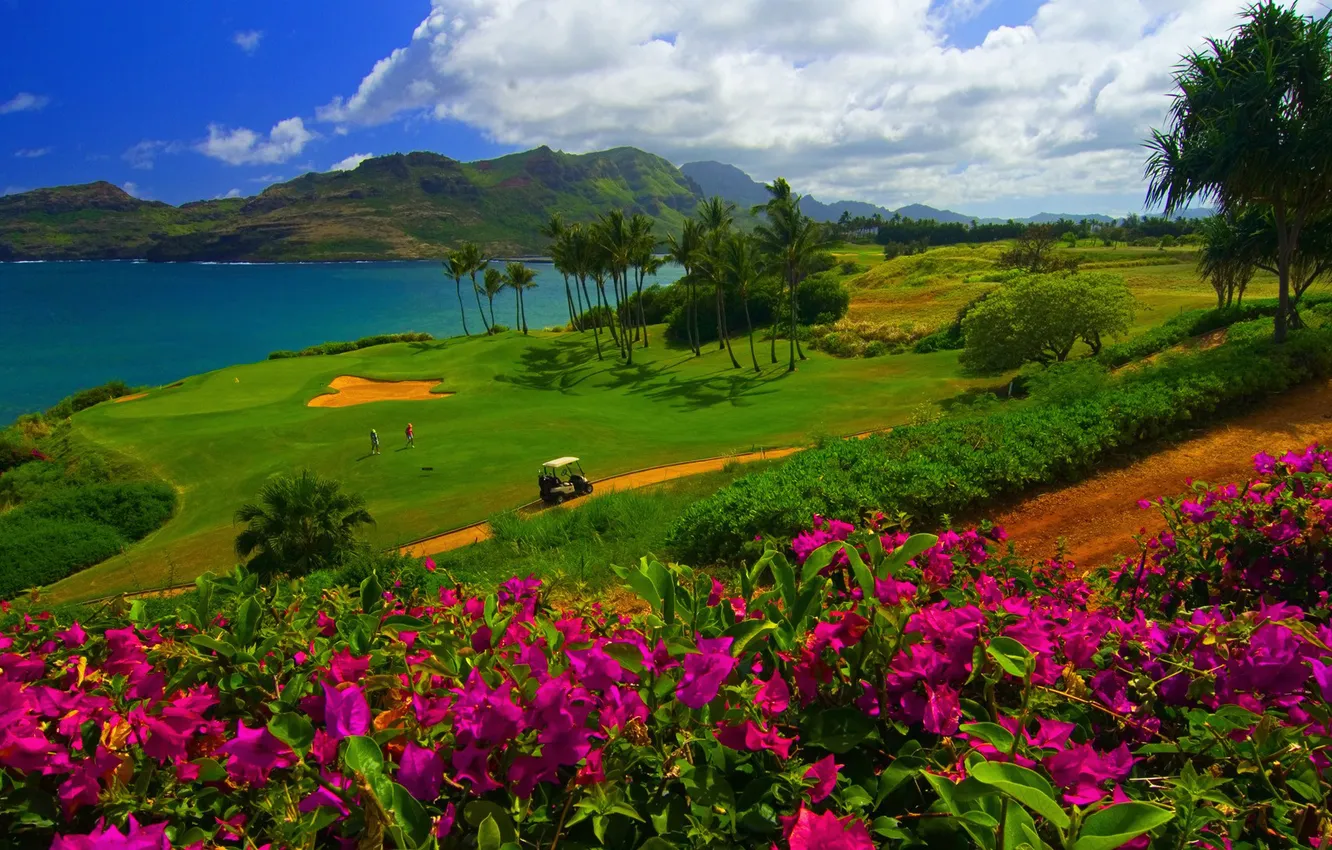 Photo wallpaper sea, the sky, grass, clouds, flowers, mountains, palm trees, people