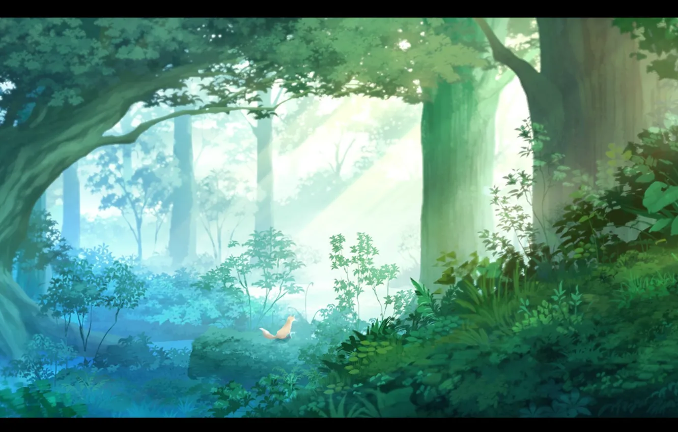 Photo wallpaper forest, grass, rays, light, trees, the bushes, Fox