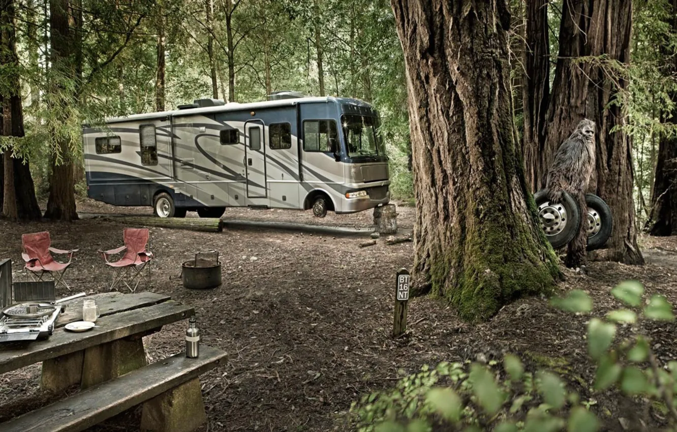 Photo wallpaper forest, wheel, bus, Yeti, camping