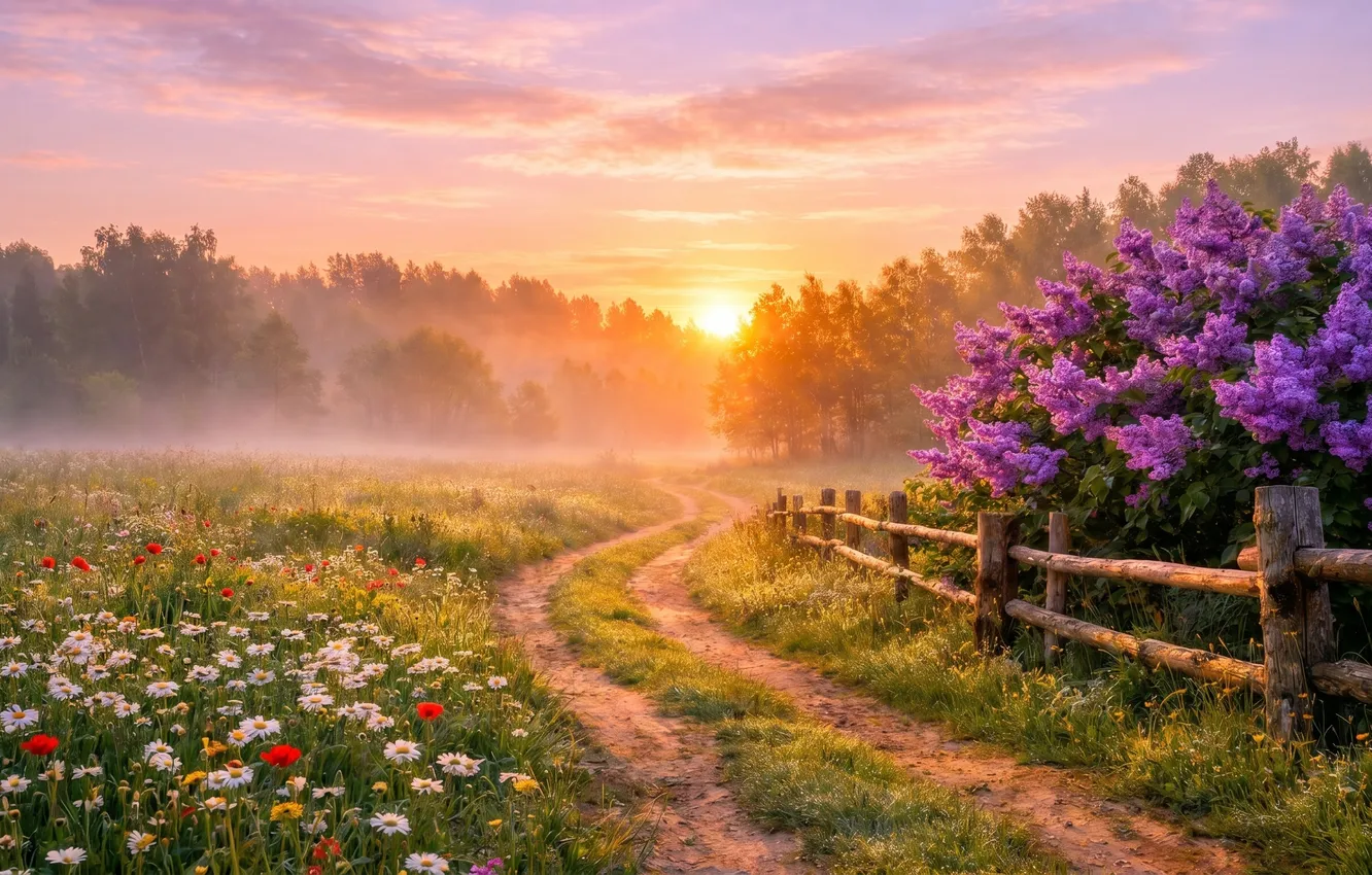 Photo wallpaper road, summer, sunset, art