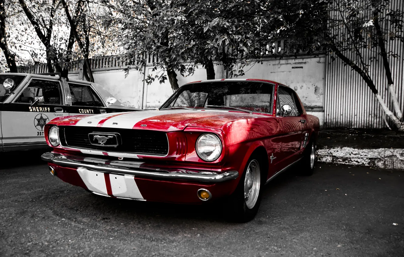 Photo wallpaper machine, auto, Mustang