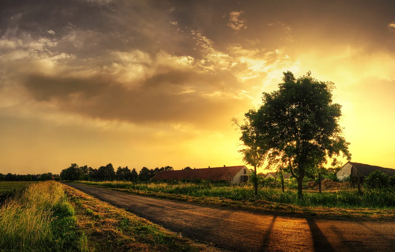 Photo wallpaper road, grass, trees, 152