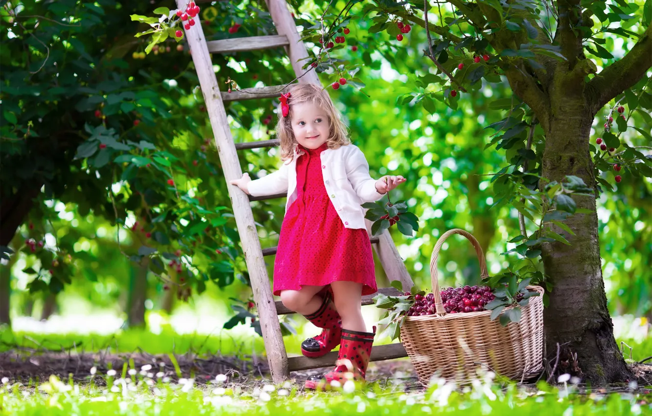 Photo wallpaper summer, cherry, mood, child, garden, dress, ladder, girl
