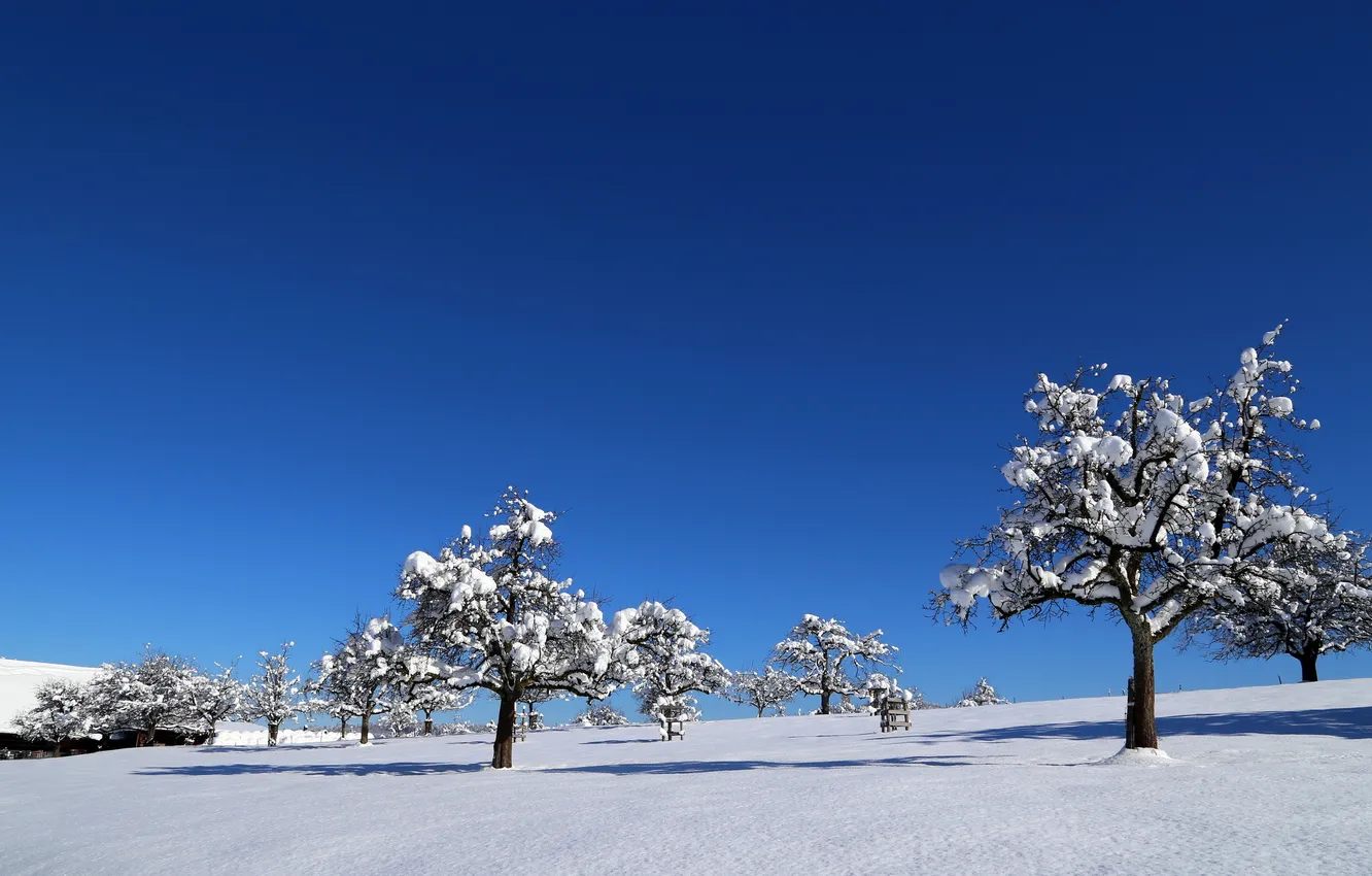 Photo wallpaper winter, home, garden