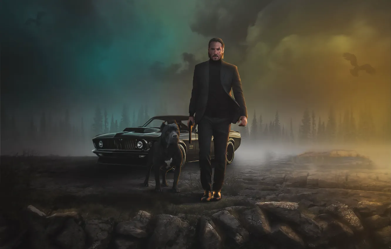 Photo wallpaper machine, night, weapons, car, Ford Mustang, Keanu Reeves, dog, John Wick
