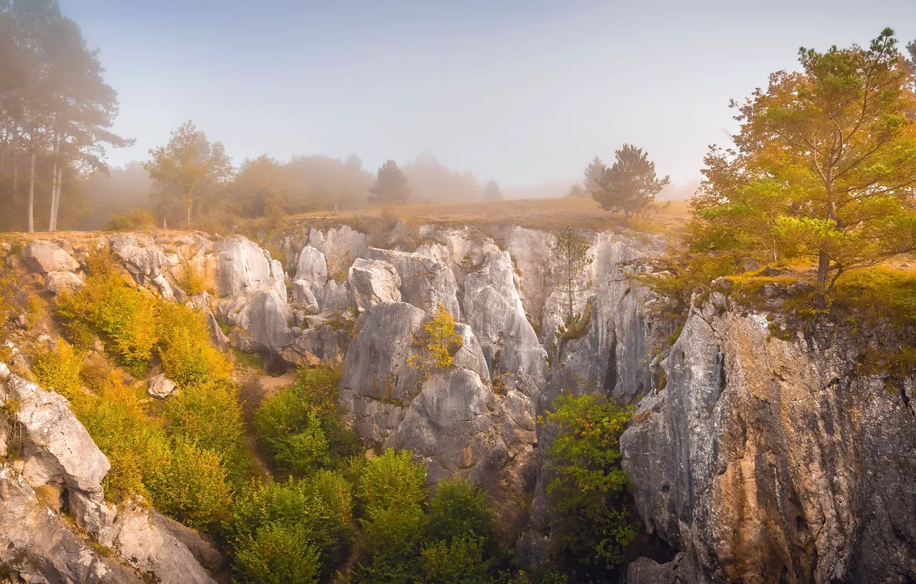 Photo wallpaper autumn, mountains, nature, fog