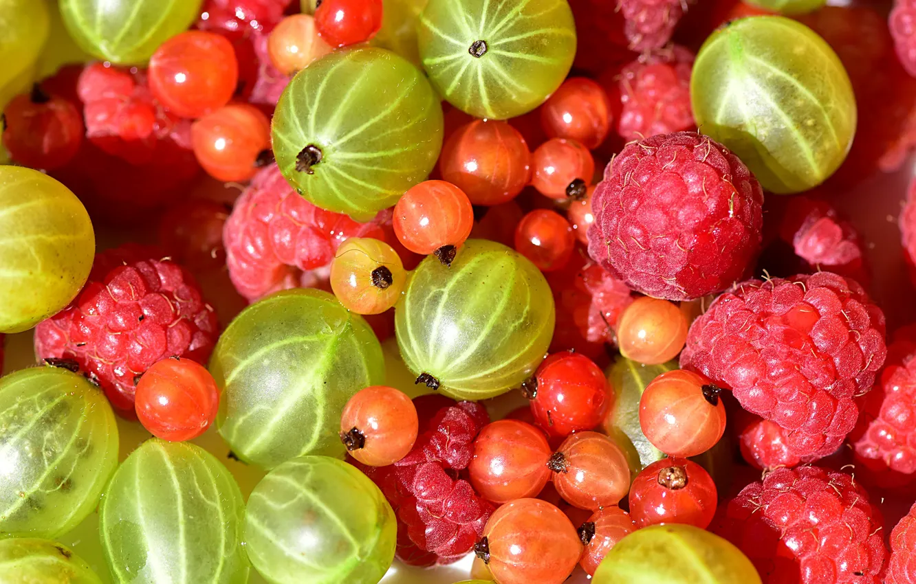 Photo wallpaper red, berries, raspberry, a lot, currants, gooseberry, summer, Asorti