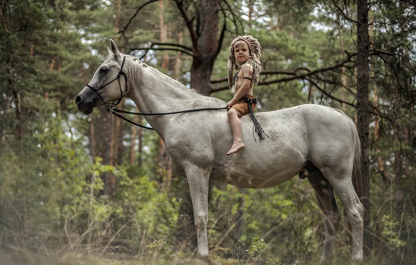 Photo wallpaper forest, horse, boy