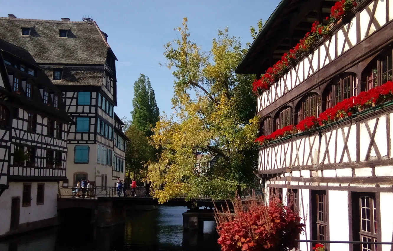 Photo wallpaper autumn, flowers, bridge, river, France, home, channel, Strasbourg