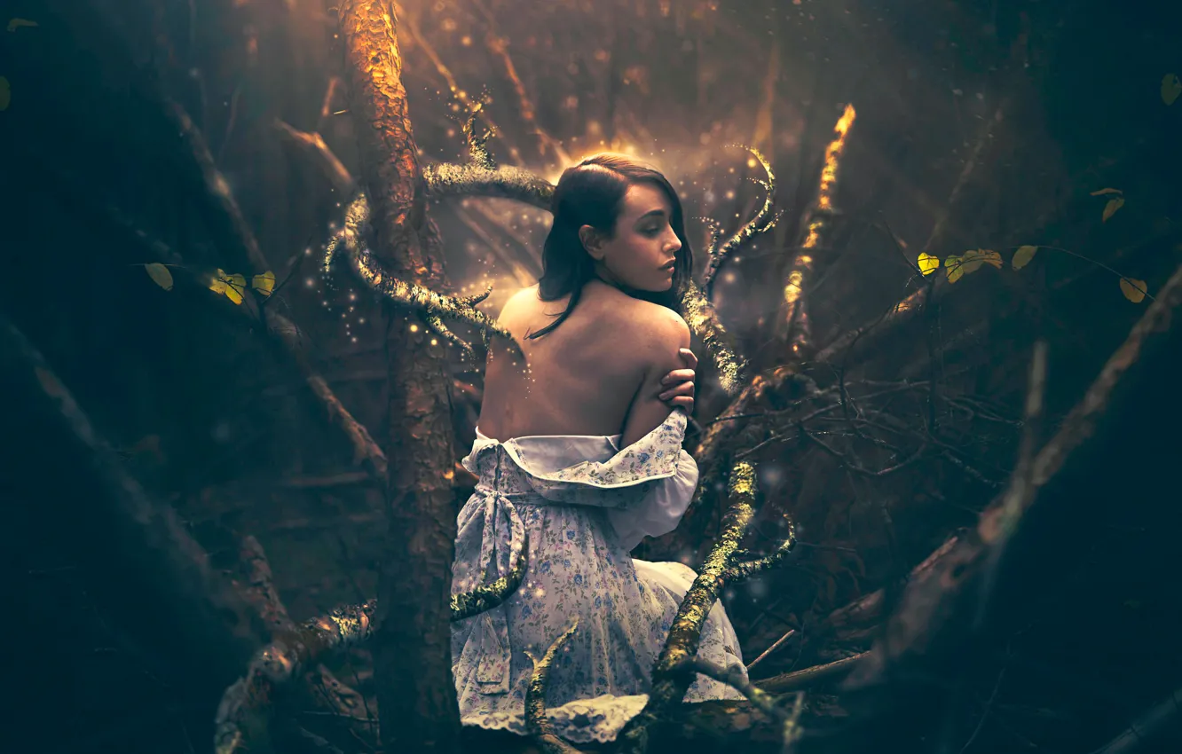 Photo wallpaper forest, girl, fantasy, art, Shelby Robinson, In the Wake of Fear
