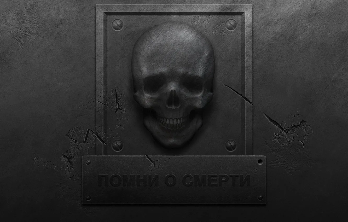 Photo wallpaper metal, cracked, wall, plate, skull, scratches, roughness, memento