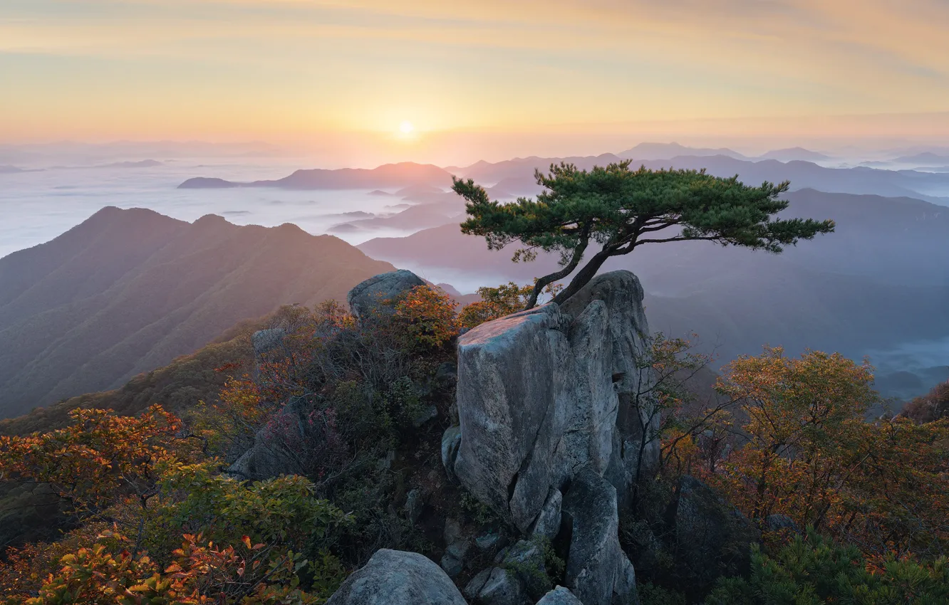 Photo wallpaper clouds, landscape, mountains, nature, tree, dawn, morning, Korea