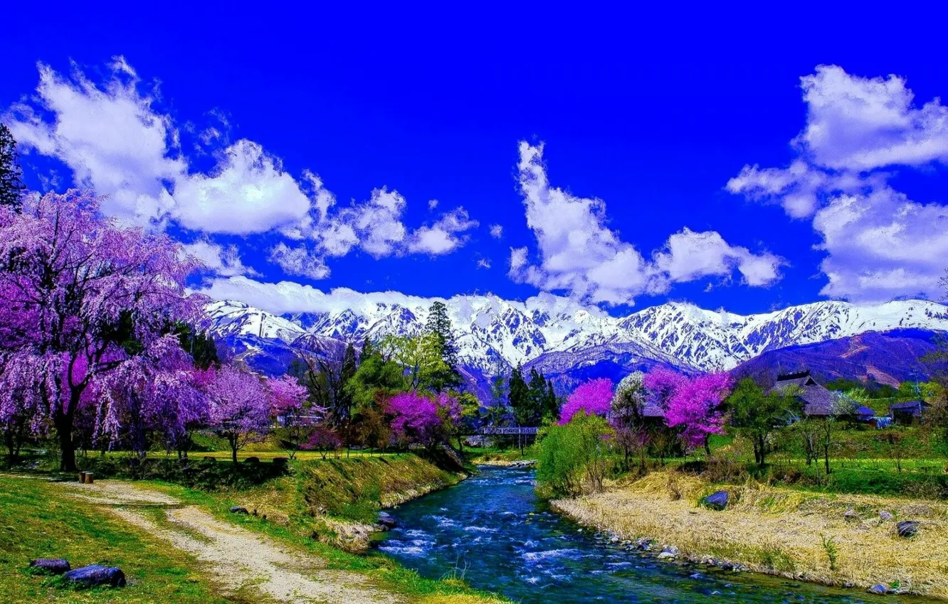 Photo wallpaper trees, nature, mountains, spring