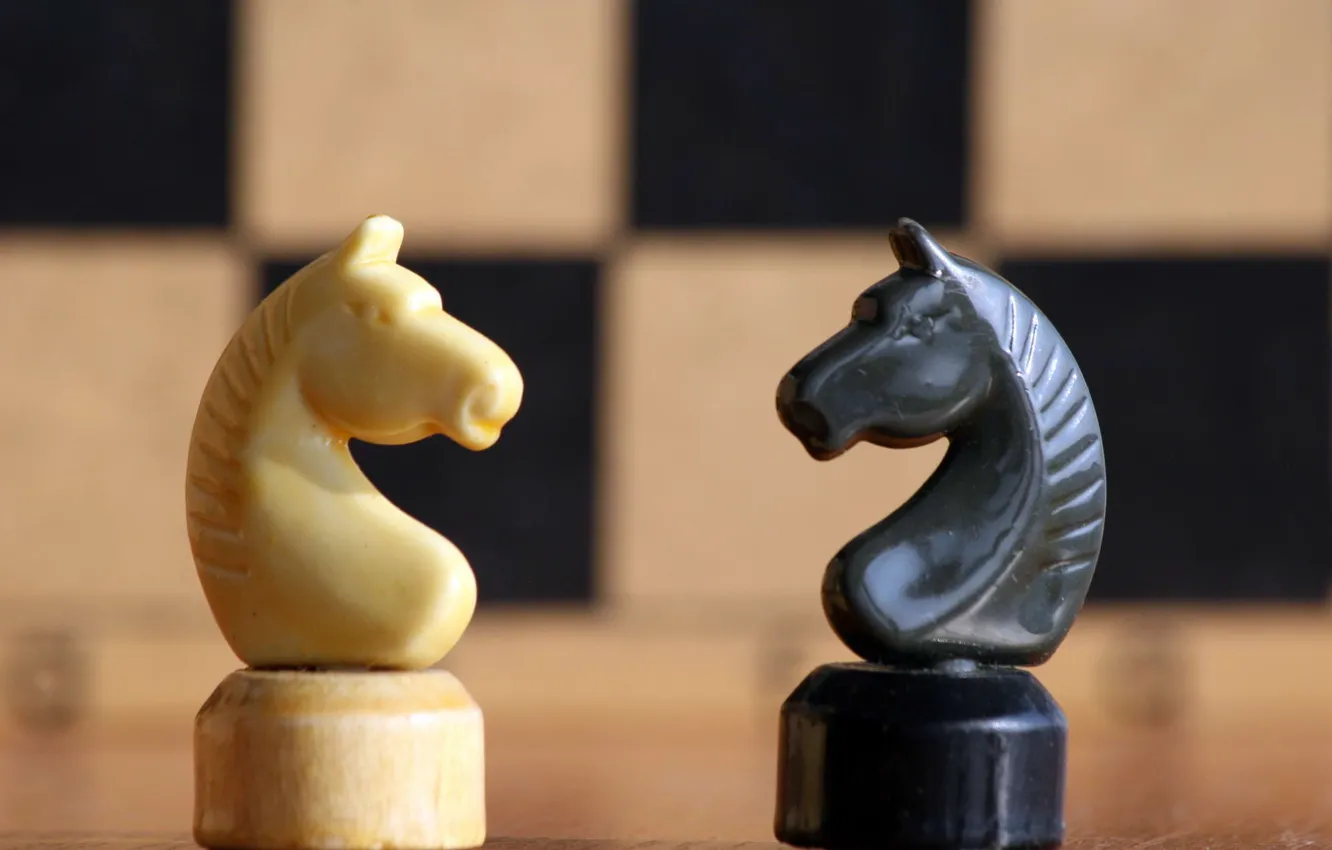Photo wallpaper horse, white, black, chess, figure