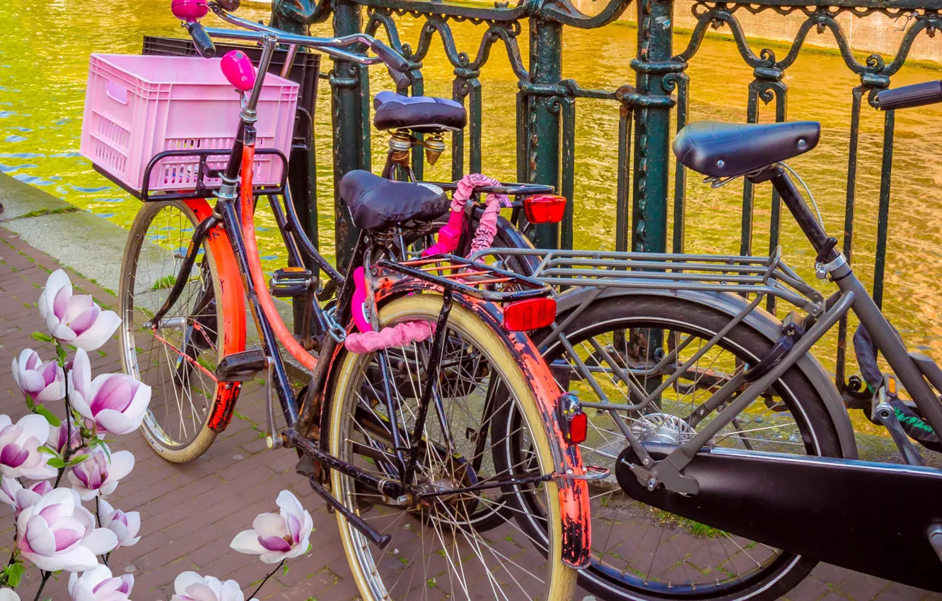 Photo wallpaper bike, river, spring, Amsterdam, bicycle, flowering, bike, blossom