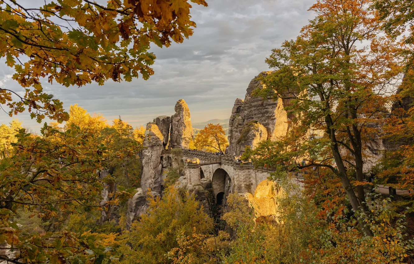 Photo wallpaper autumn, trees, mountains, bridge, rocks, Germany, Germany, Elbe Sandstone mountains