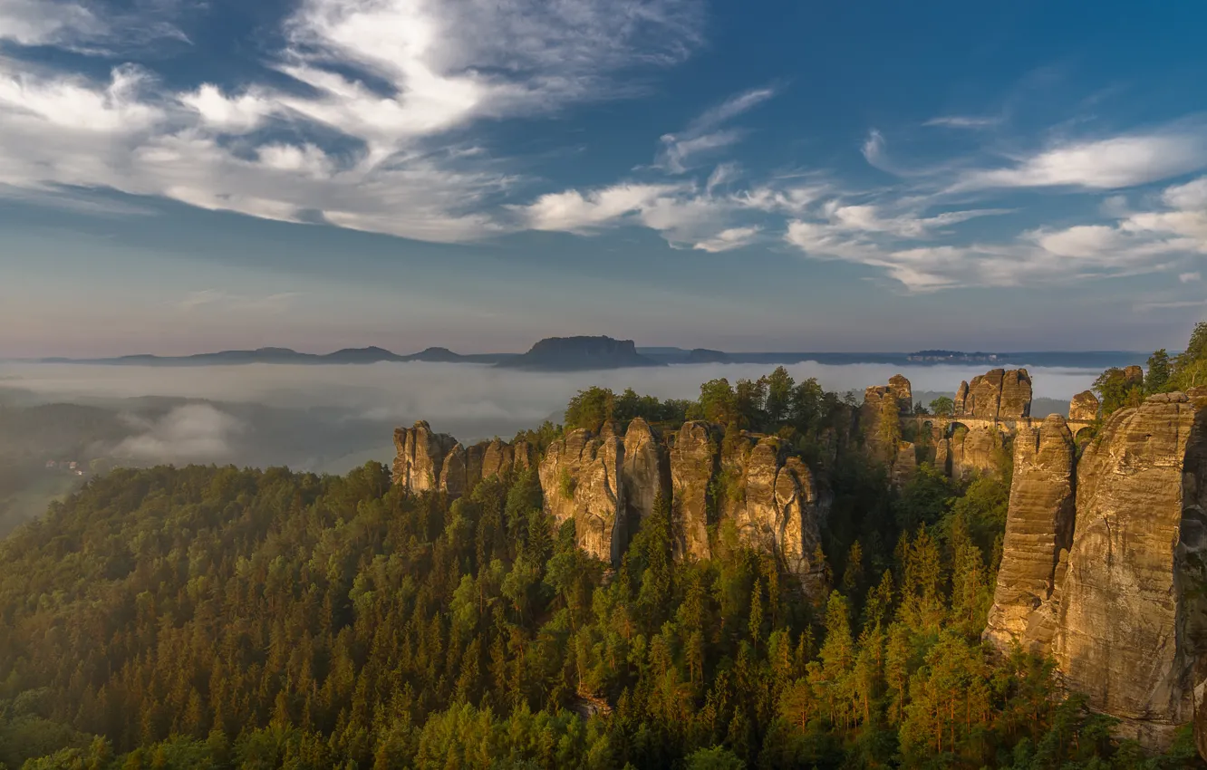 Photo wallpaper forest, the sky, landscape, mountains, nature, fog, blue, rocks