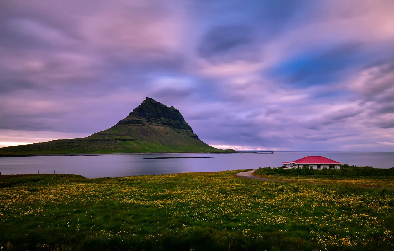 Photo wallpaper field, the sky, clouds, flowers, mountains, overcast, rocks, shore