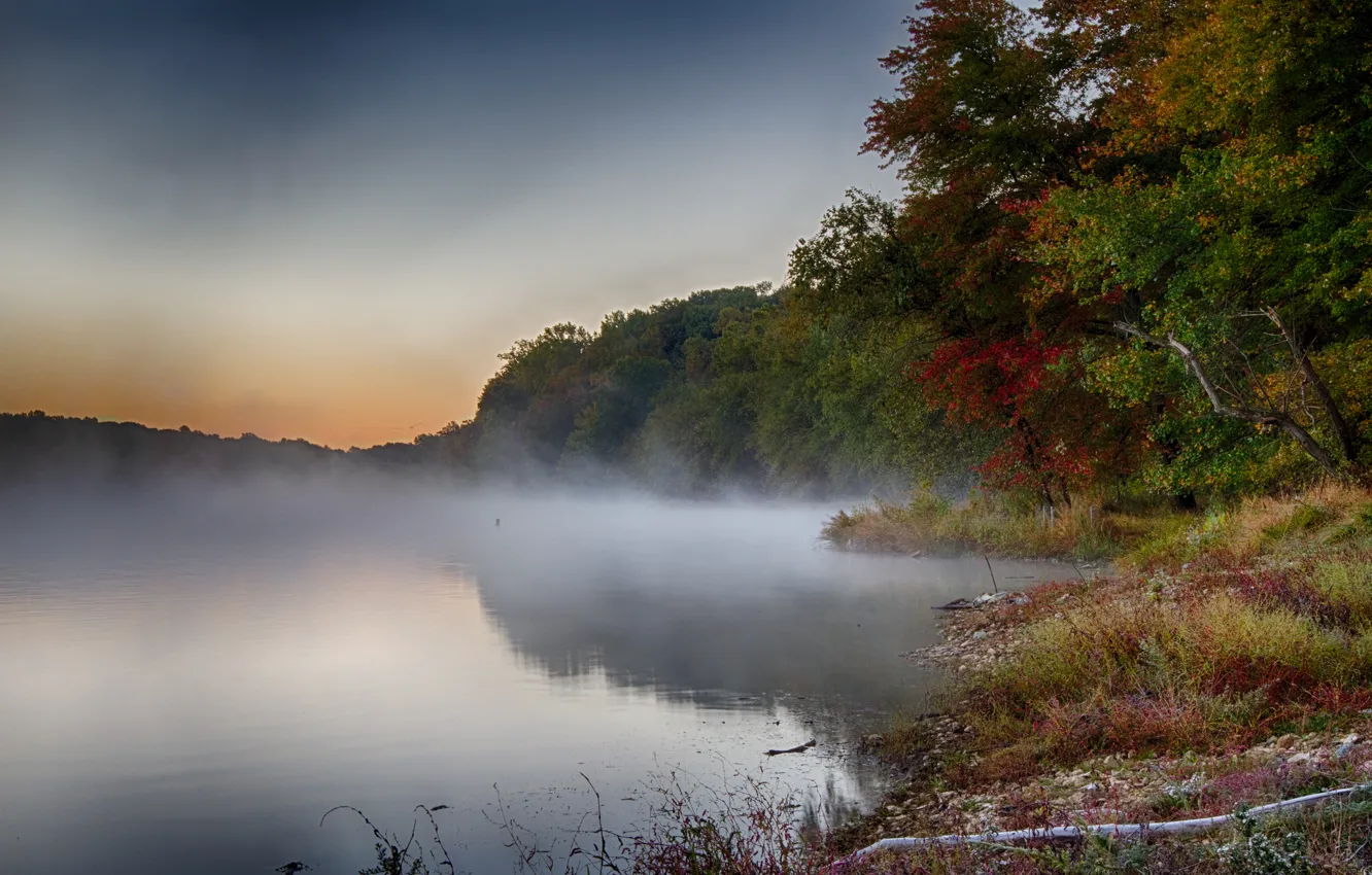 Photo wallpaper autumn, forest, trees, fog, lake