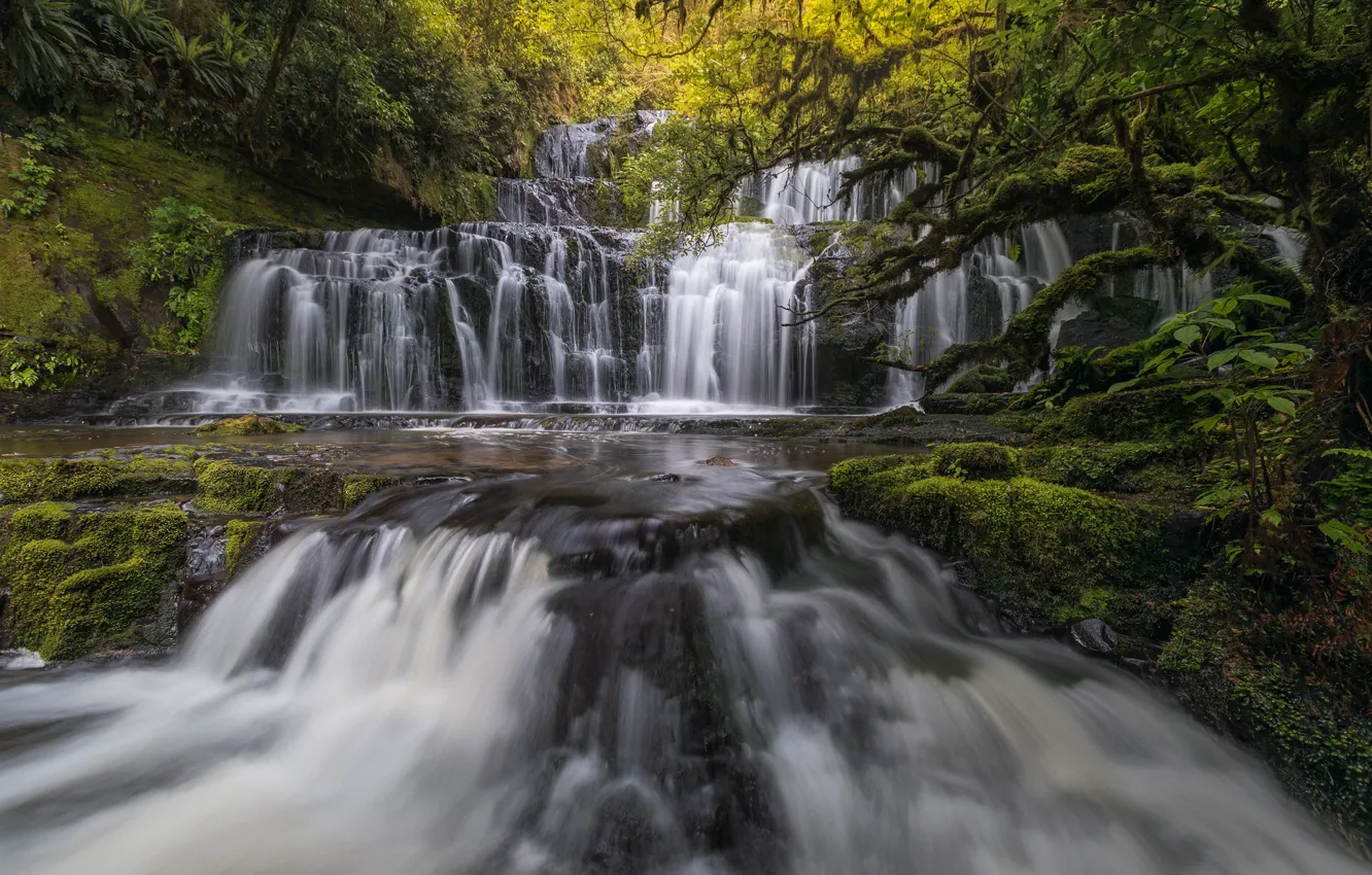 Photo wallpaper forest, river, waterfall, New Zealand, cascade, New Zealand, Purakaunui Falls, Purakaunui River