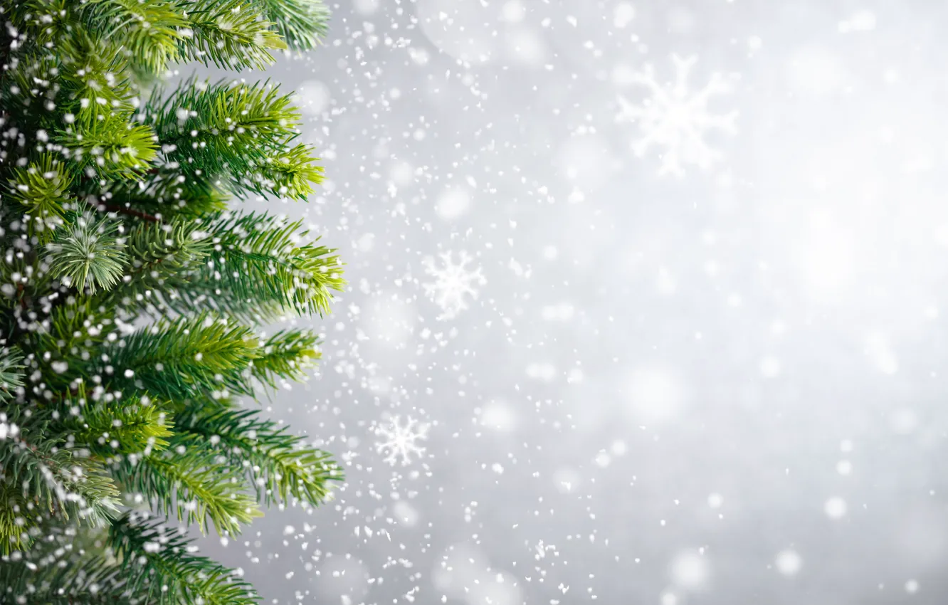Photo wallpaper winter, snow, snowflakes, tree, New Year, Christmas, Christmas, winter