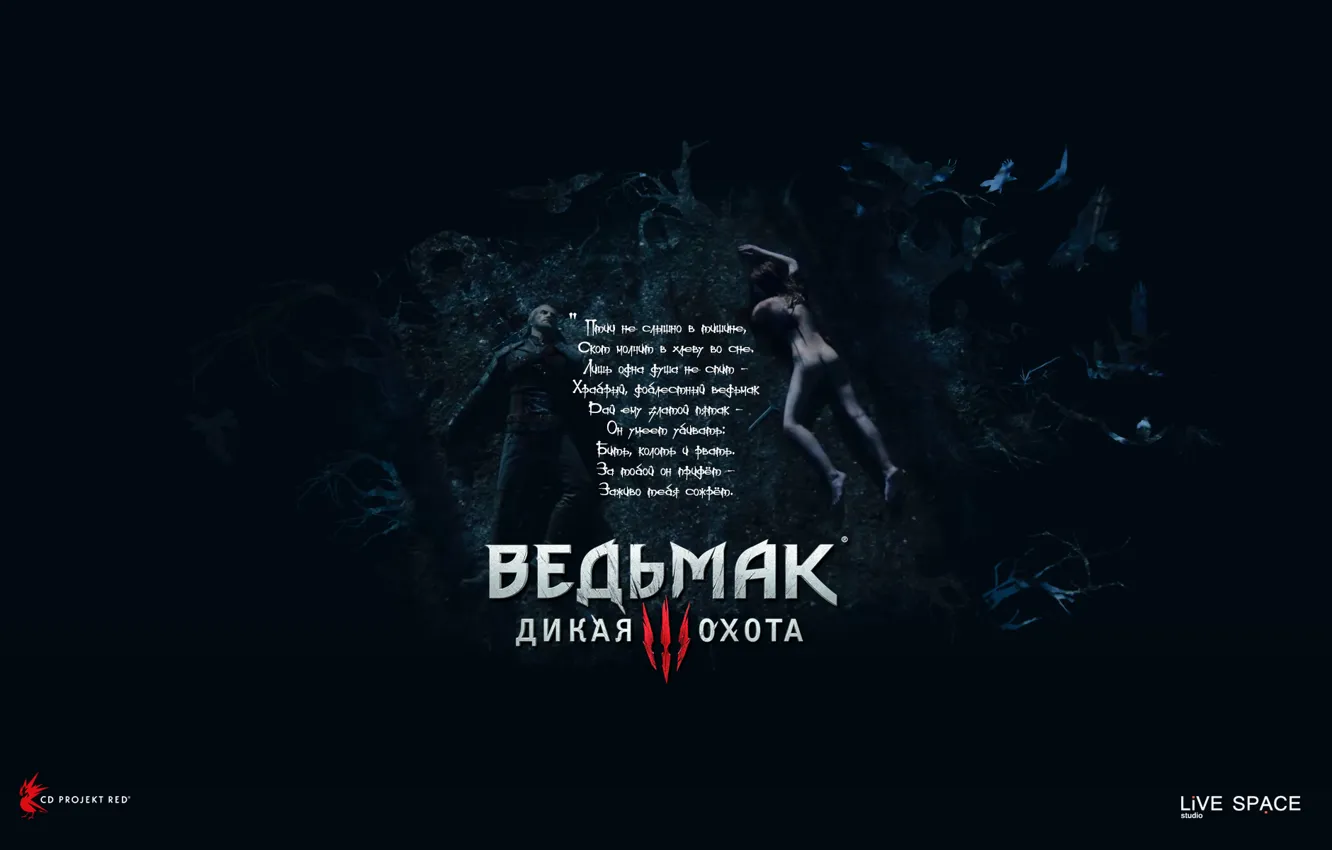 Photo wallpaper LiVE SPACE studio, The Witcher 1, CDProjekt RED, CDPR