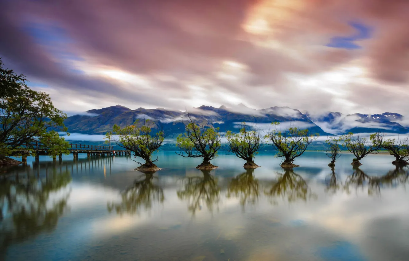 Photo wallpaper trees, lake, pier, New Zealand, Queenstown, Wakatipu