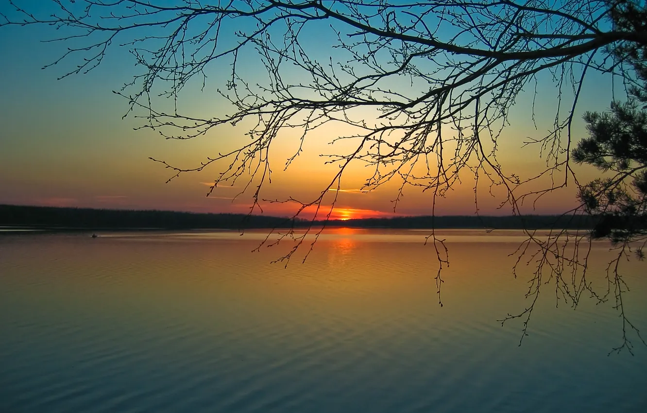 Photo wallpaper the sun, sunset, river, branch, shore, calm, silence, the evening