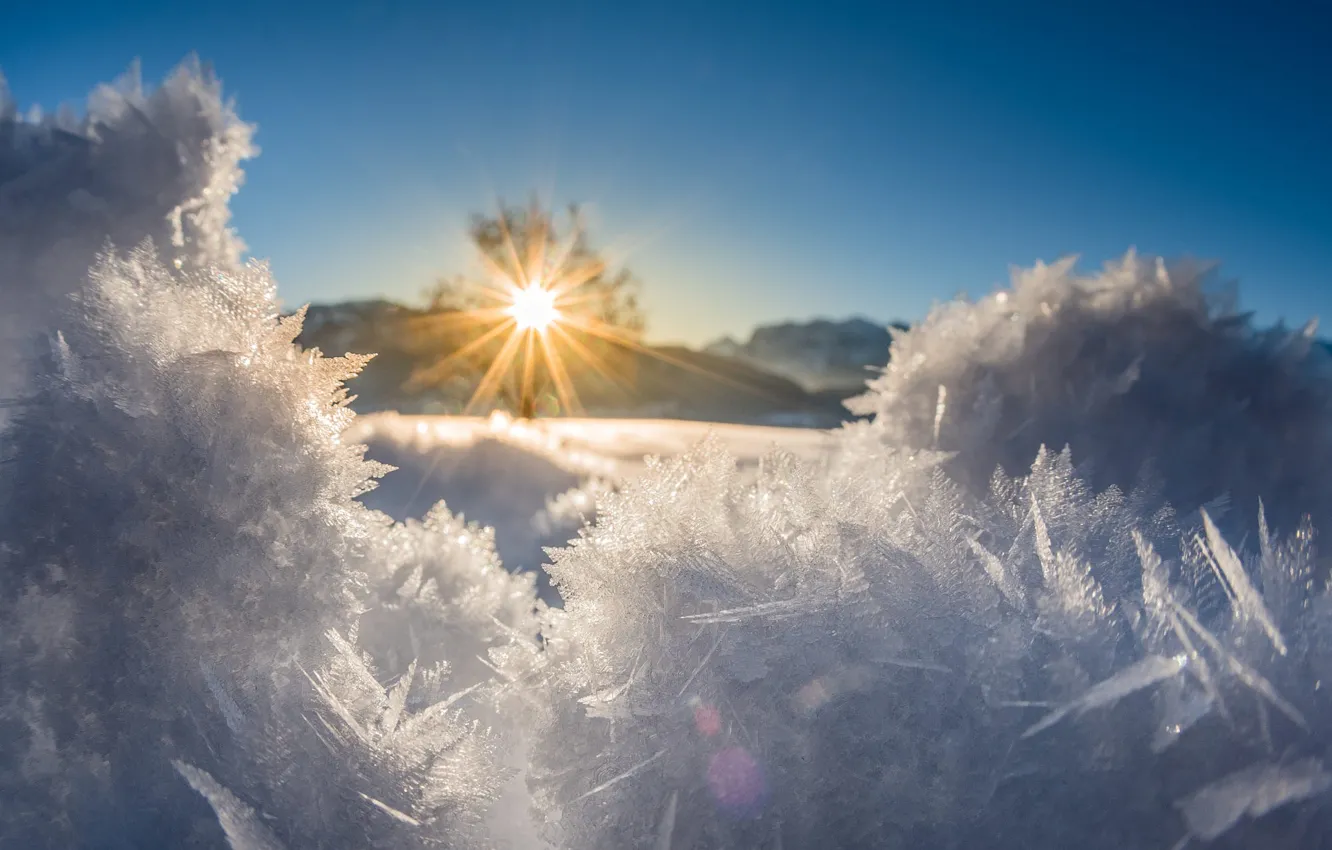 Photo wallpaper winter, the sun, snow, nature