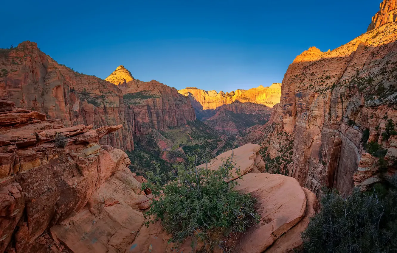 Photo wallpaper rocks, canyon, Utah, USA, Zion National Park, Zion national Park