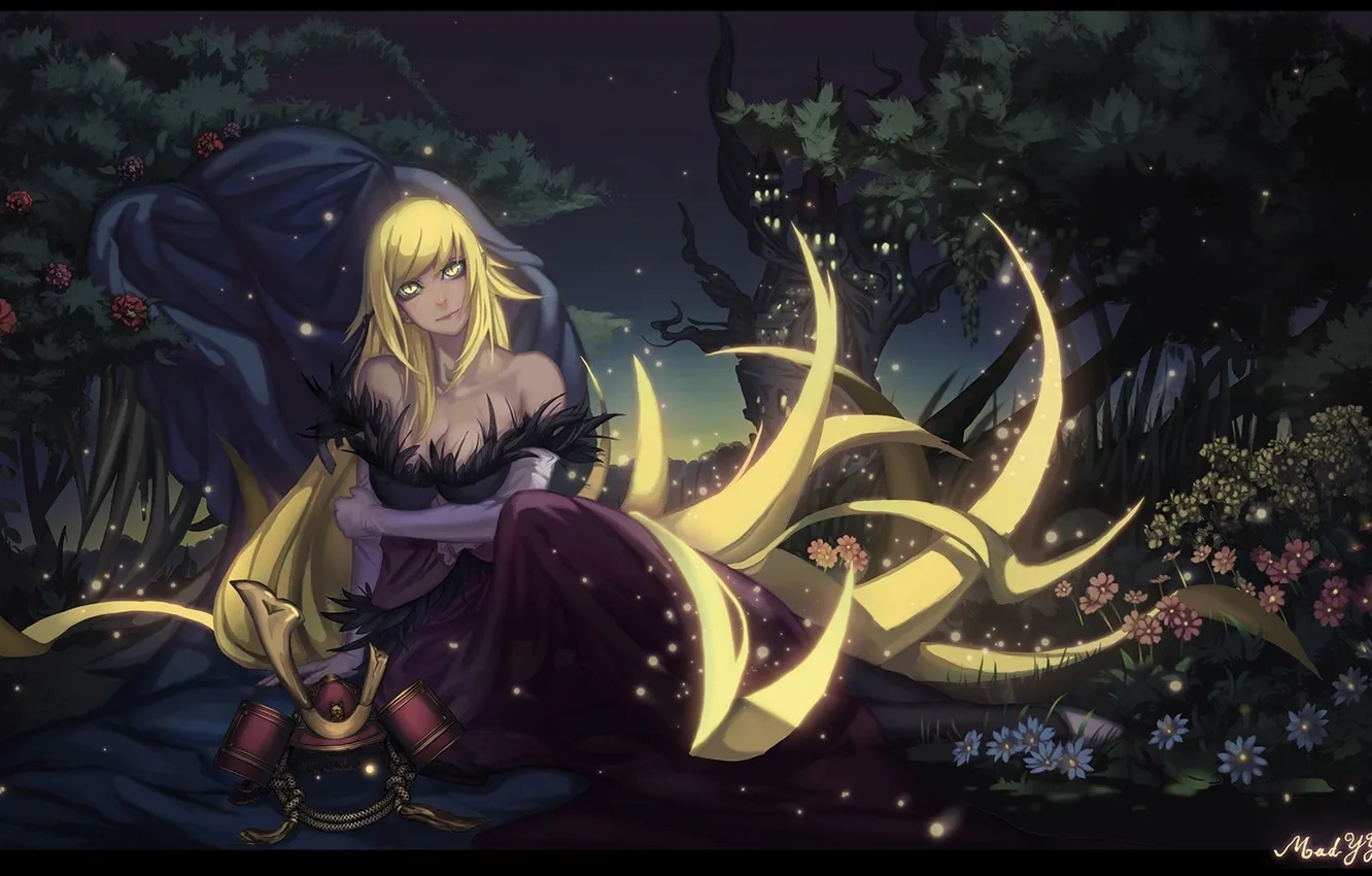 Photo wallpaper chest, look, girl, night, smile, helmet, art, bakemonogatari