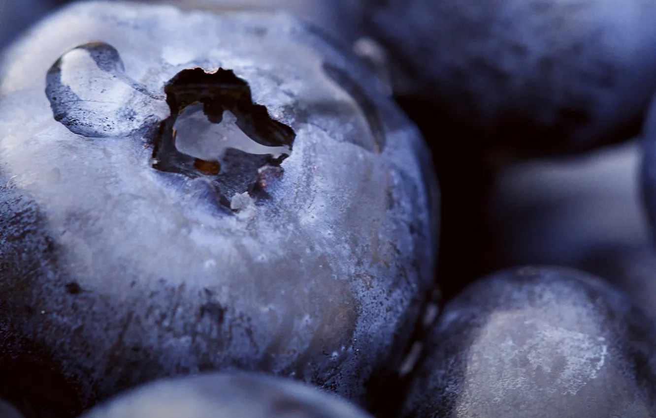 Photo wallpaper food, food, Stock Wallpapers, Moto X