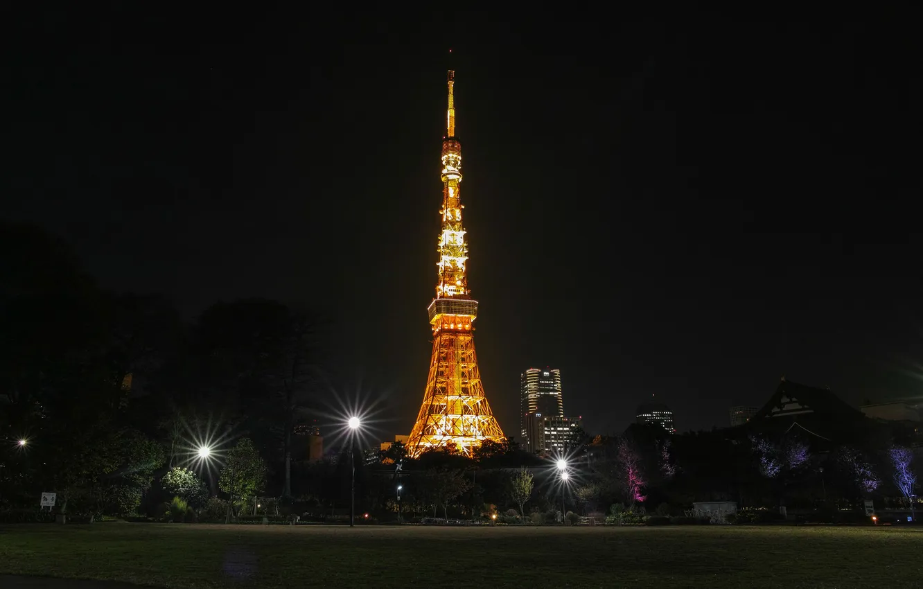 Photo wallpaper night, lights, France, Paris, Eiffel tower
