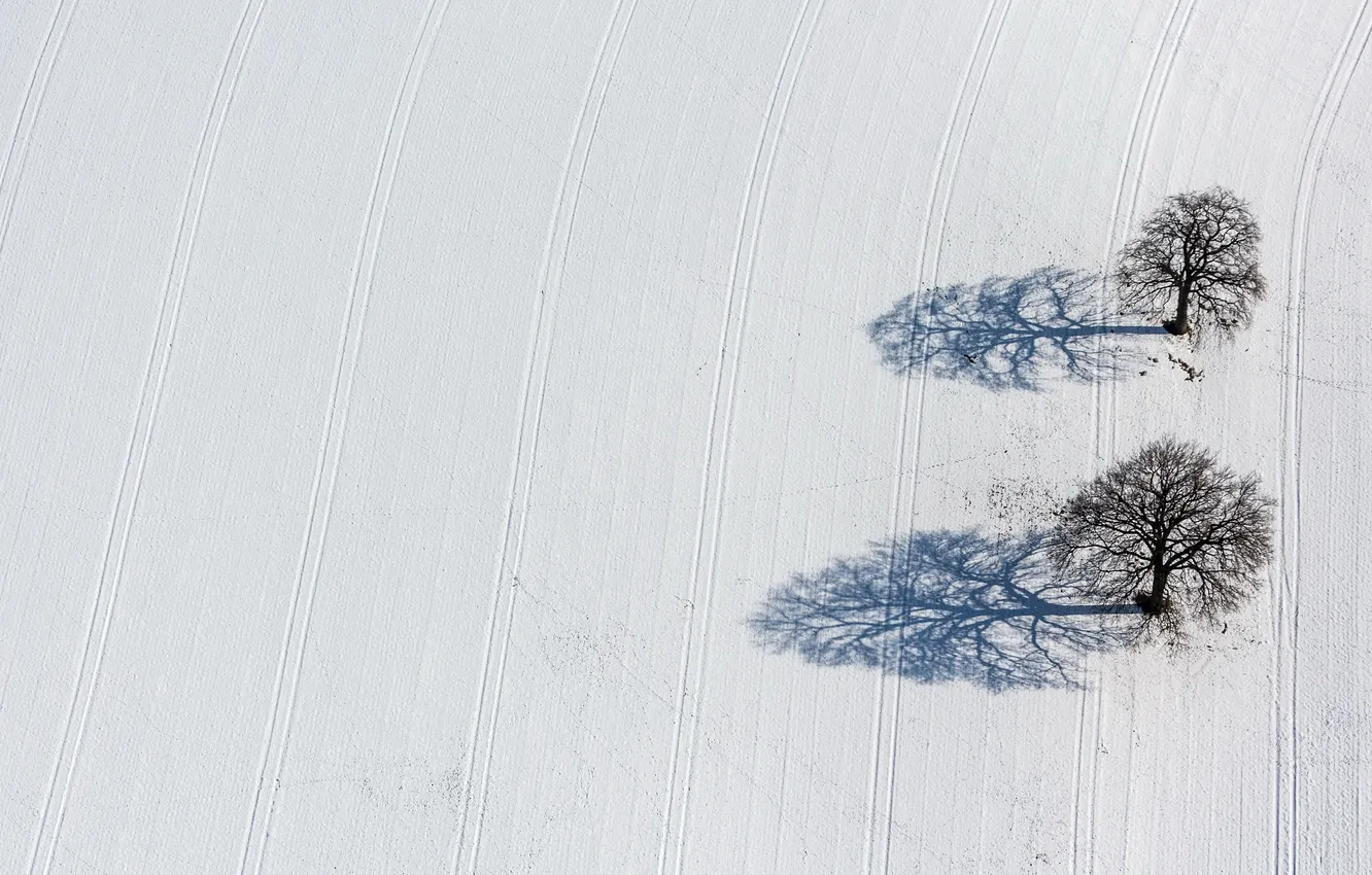 Photo wallpaper field, snow, trees