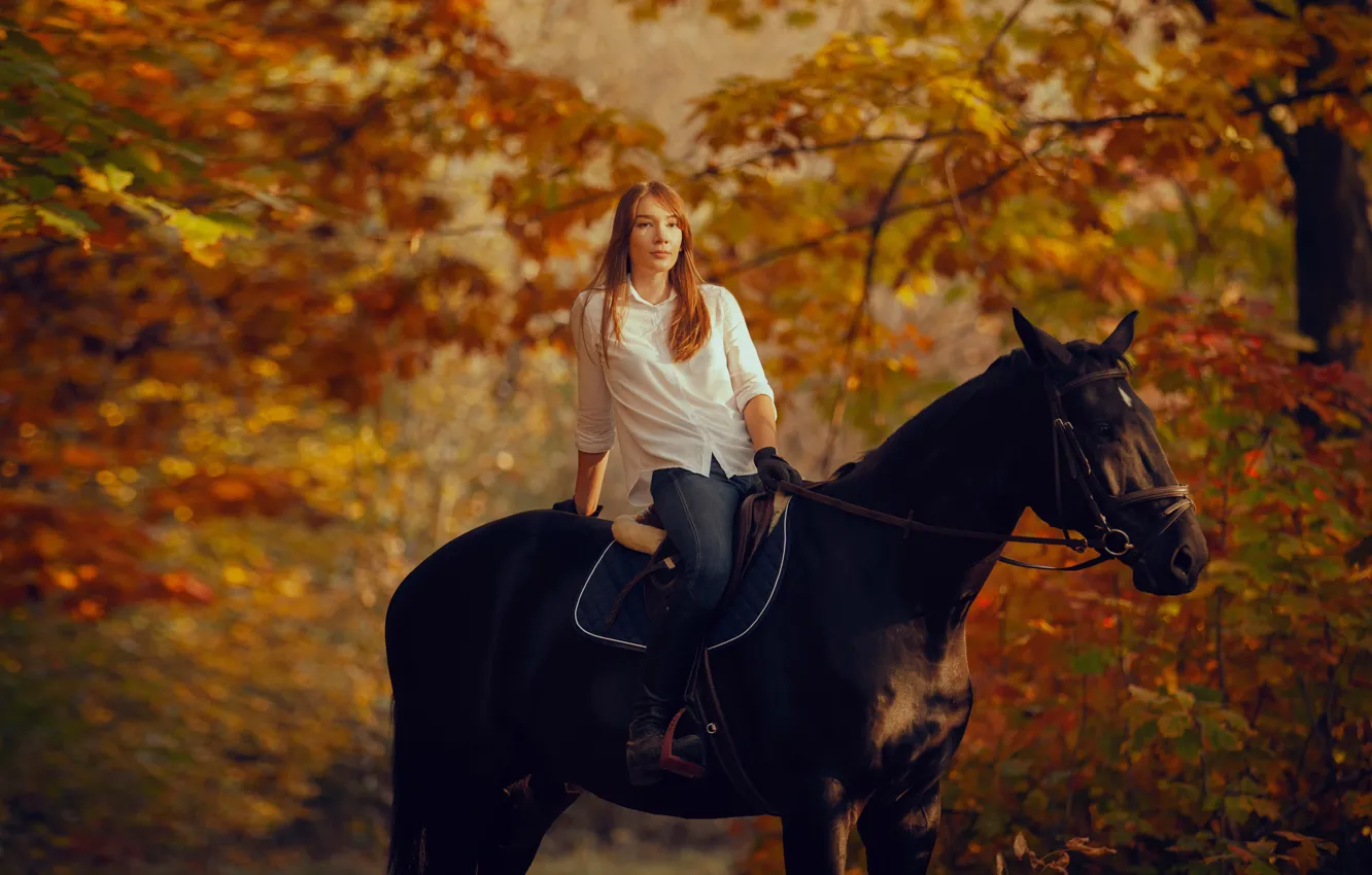 Photo wallpaper autumn, forest, look, girl, trees, nature, Park, horse