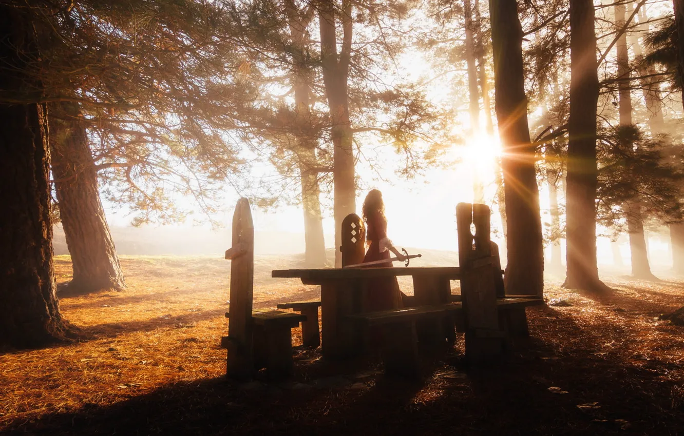Photo wallpaper autumn, forest, the sky, girl, the sun, rays, light, trees