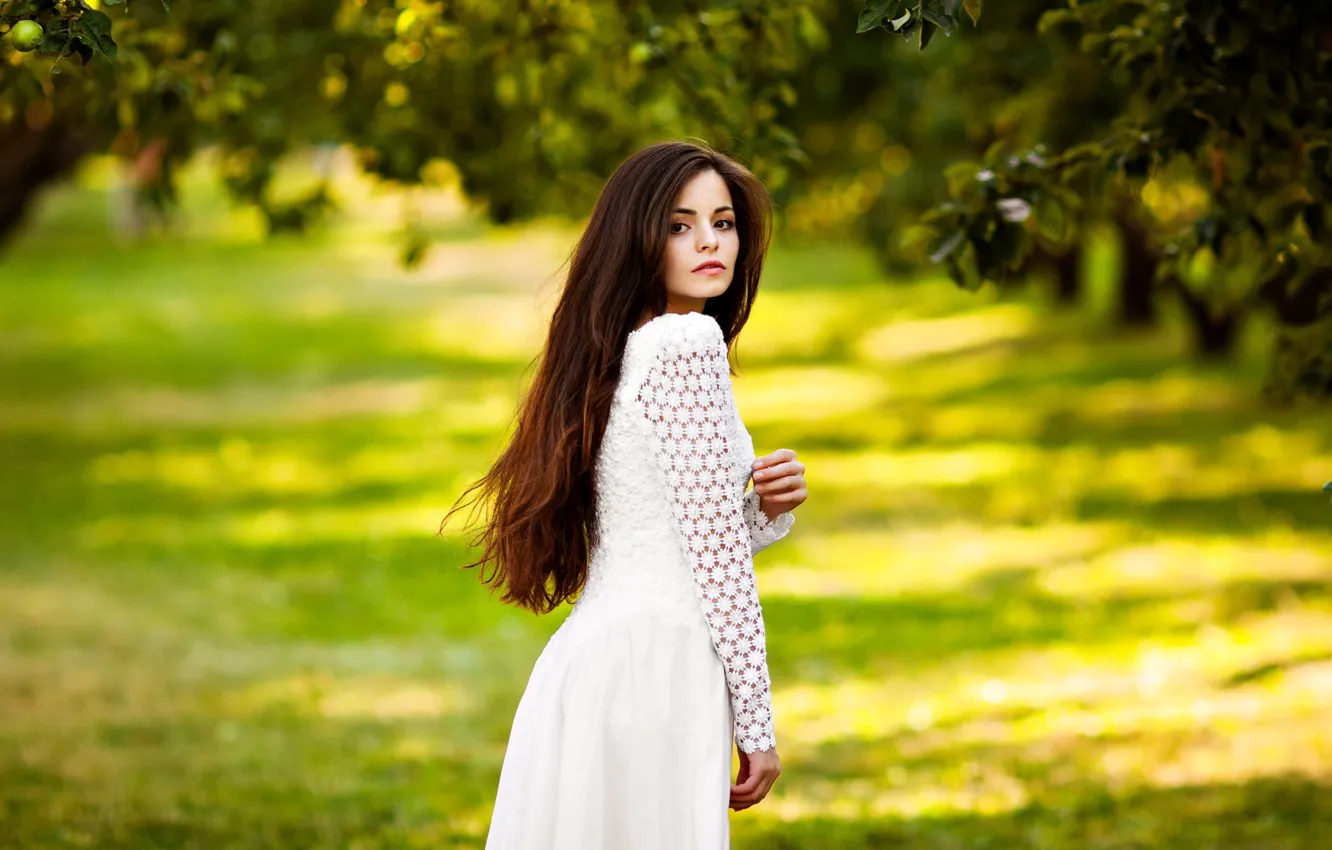Photo wallpaper look, girl, pose, Park, dress, brown hair