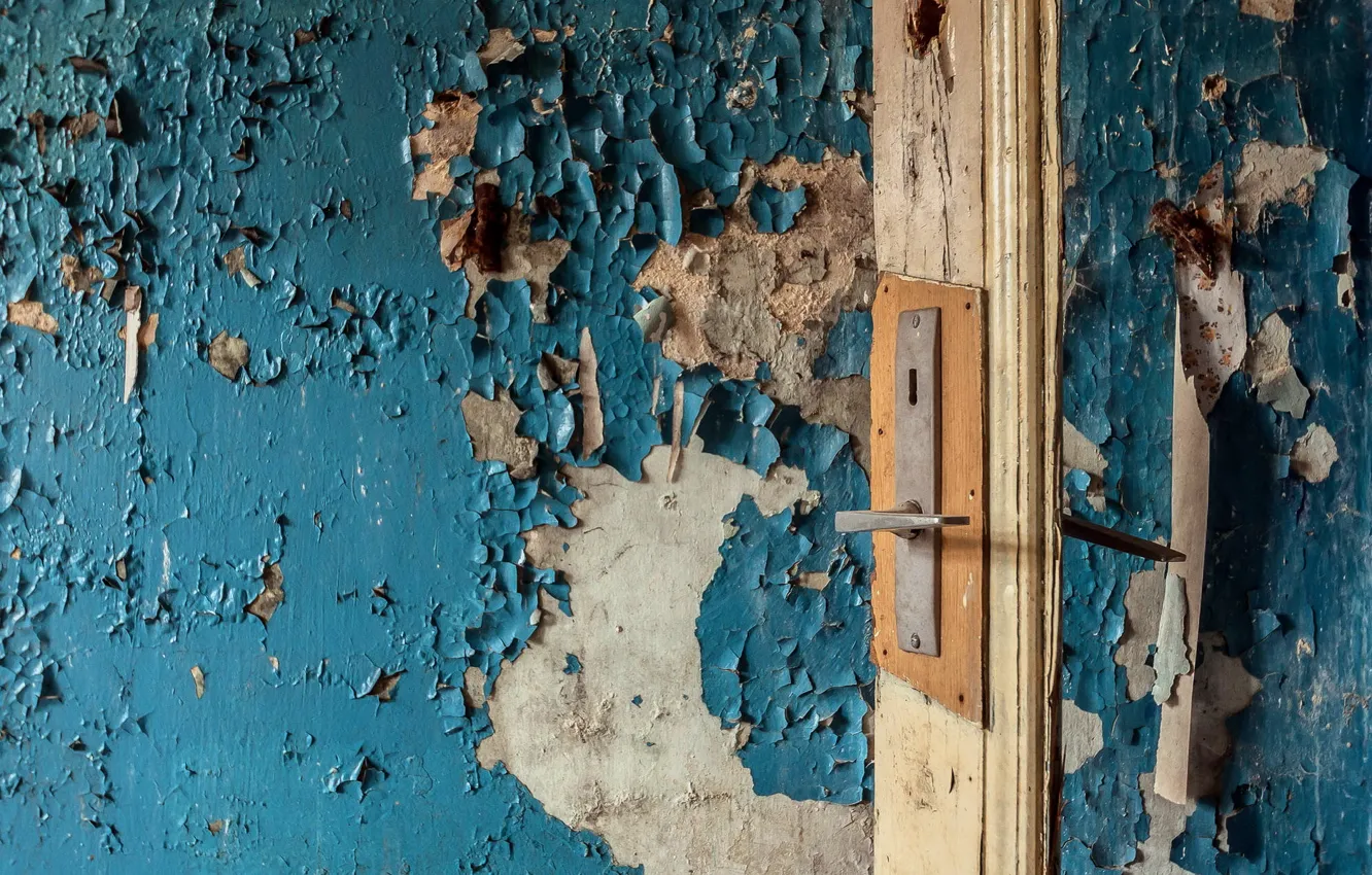 Photo wallpaper background, wall, the door