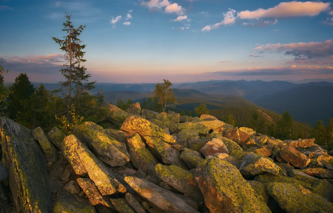 Photo wallpaper trees, landscape, wood, view, clouds, rocks, Ukraine, high