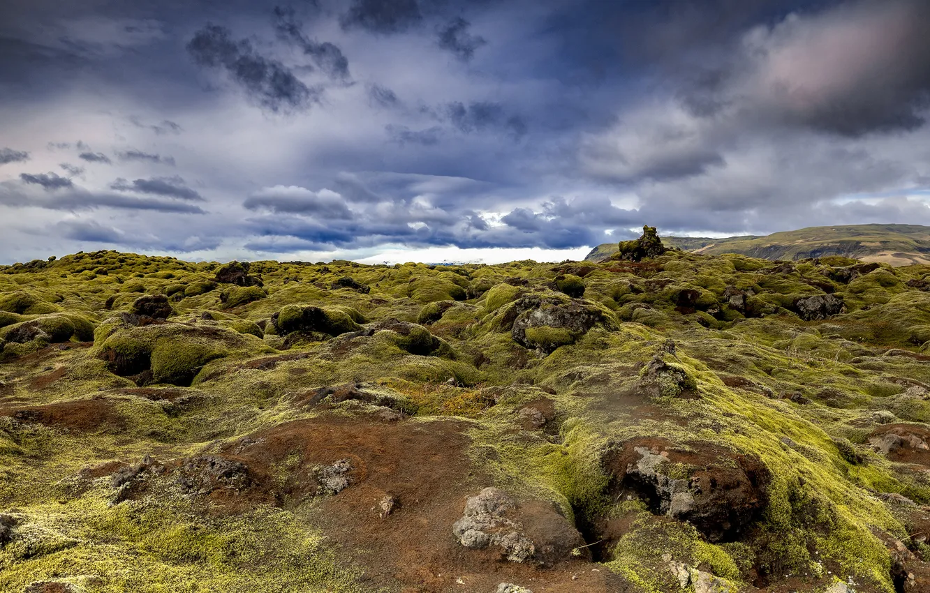Photo wallpaper nature, stones, moss, Iceland, Mossy Lava Fields