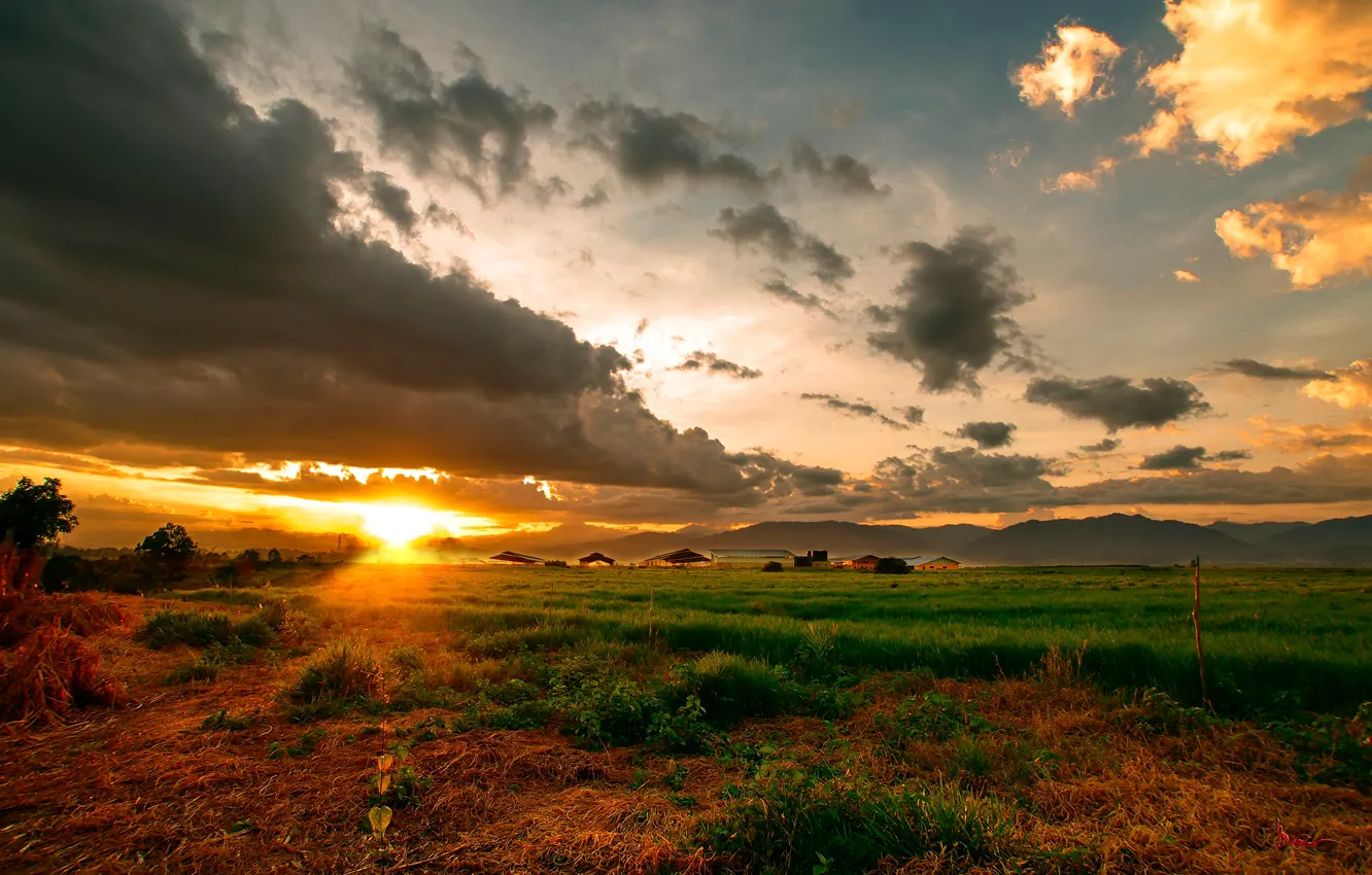 Photo wallpaper field, the sky, clouds, sunset, mountains