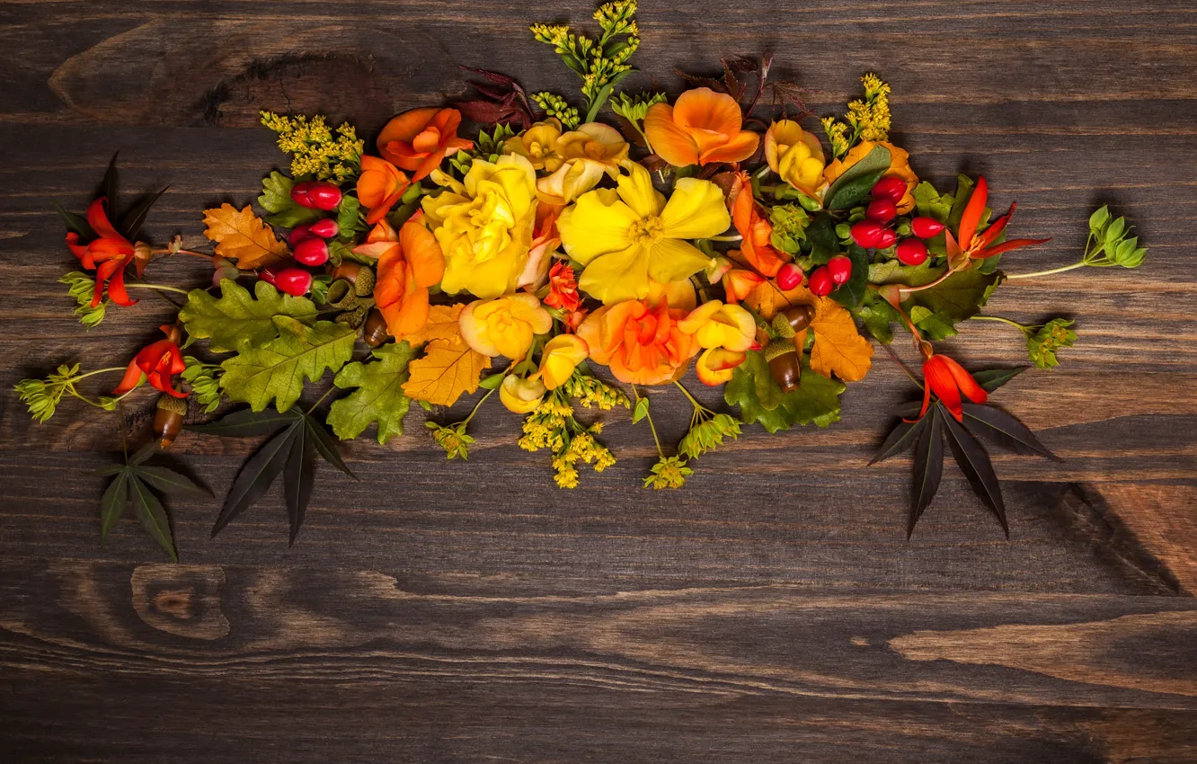 Photo wallpaper autumn, leaves, flowers, wood, flowers, autumn, leaves, composition